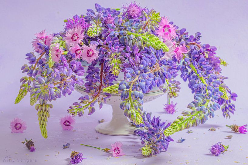 Lupins by Willy Sengers