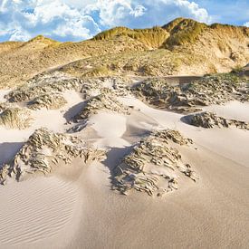 Dunes de la côte néerlandaise sur eric van der eijk