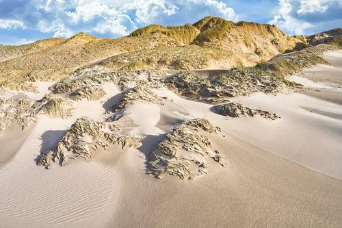 Dunes de la côte néerlandaise sur eric van der eijk