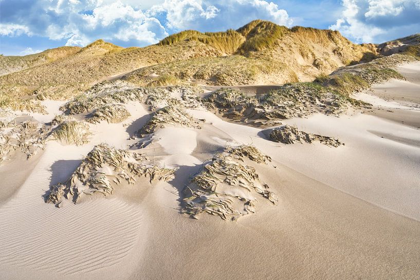 Dunes of the Dutch coast by eric van der eijk