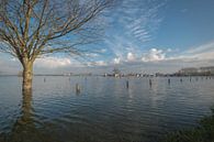 High water at Maurik harbour by Moetwil en van Dijk - Fotografie thumbnail