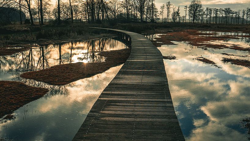Reflexion von Wim de Vos
