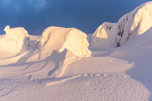 Des dunes de neige à la lumière du soleil couchant