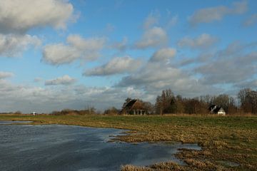 Fries landschapje van Pim van der Horst