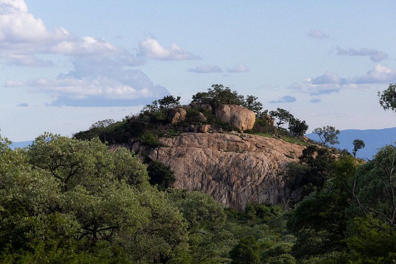 Lion Rock by Nicoline Hoeve