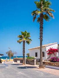 Mallorca stad Can Picafort