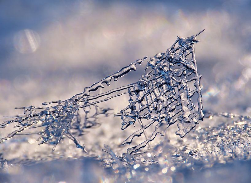 Crystal Grid (Filigrain Ice Moulds) by Caroline Lichthart