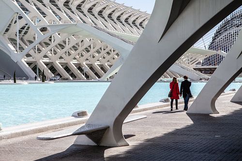 wetenschapsmuseum in Valencia