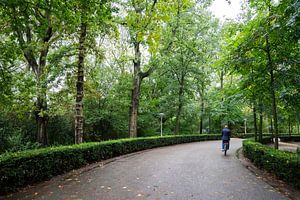 Vondel Park van Phil Yisrael