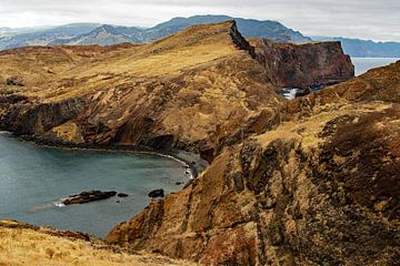 The coast of Madeira by Eva Rusman