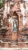 Standing Buddha surrounded by the remains of a temple