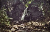 Jungle waterfall van BL Photography thumbnail