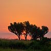 Lever de soleil orange en Afrique sur Jim van Iterson