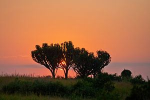 Oranje zonsopkomst in Afrika van Jim van Iterson