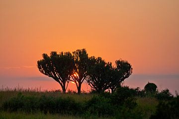 Oranje zonsopkomst in Afrika