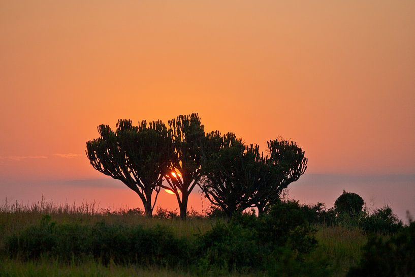 Oranger Sonnenaufgang in Afrika von Jim van Iterson