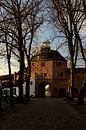 Zicht op de Vischpoort van Harderwijk van Gerard de Zwaan thumbnail