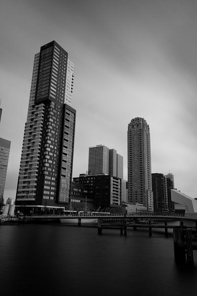Rotterdamse skyline van Ronald Bruijniks