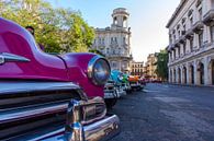 Oldtimers in Havana van Rob Altena thumbnail
