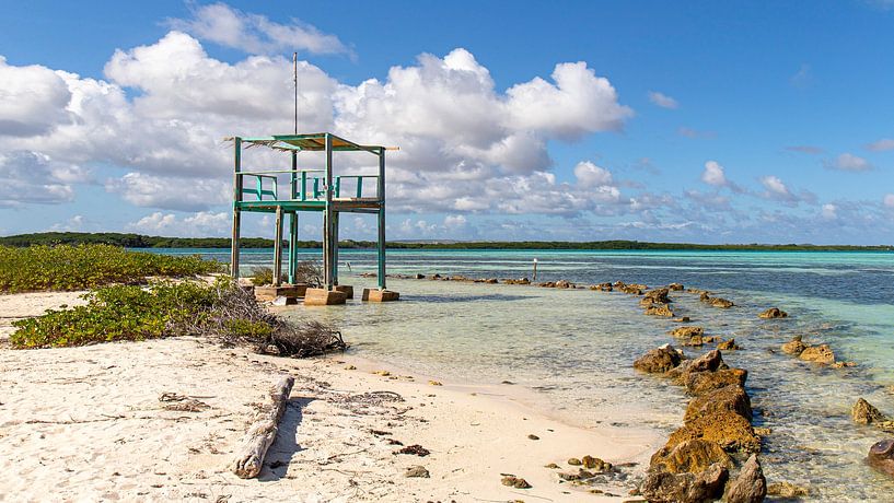 Bonaire Lac Cai by Marly De Kok