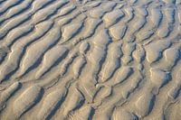 Strand patroon