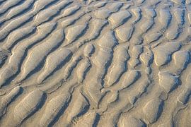 Modèle de plage sur John Monster