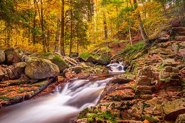 Dreamlike Ilsetal by Steffen Henze