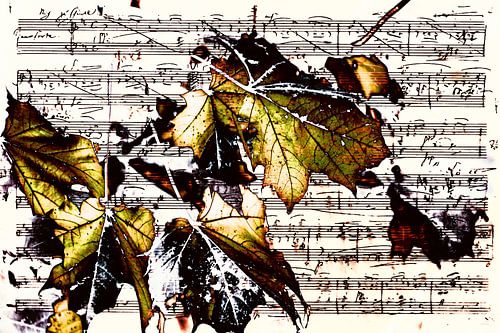 Blad van muziek met gouden bladeren