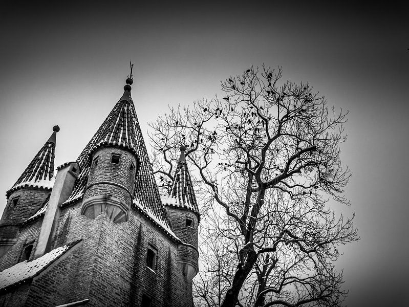 Donkere Toren van Alexander Dorn