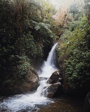 Waterval in de bergen van Colombia van Felix Van Leusden