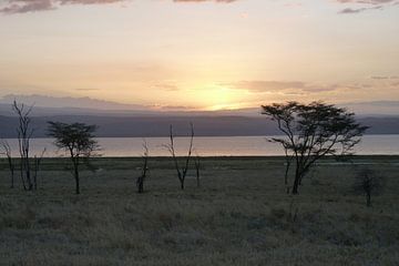 zonsondergang in Kenia van Daisy Janssens