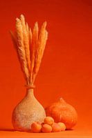 Couleurs 05 Orange