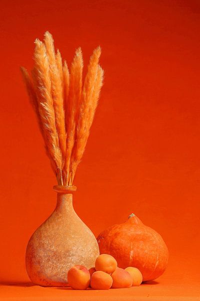 Colours 05 Orange van Natasja van Heesch