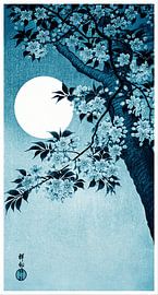 Blühende Kirschblüten im Mondlicht in Indigoblau (Ohara Koson)