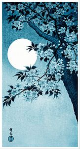Blühende Kirschblüten im Mondlicht in Indigoblau (Ohara Koson)