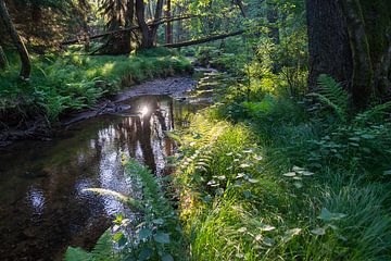 Relaxing ambience on the river bank by Heidemuellerin