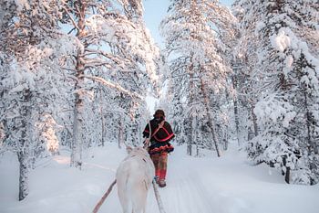 Sami reindeer herder in the forest | travel photography print | Lapland Sweden