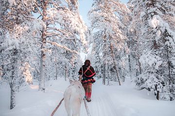 Sami rendierhouder in het bos | reisfotografie print | Lapland Zweden van Kimberley Jekel