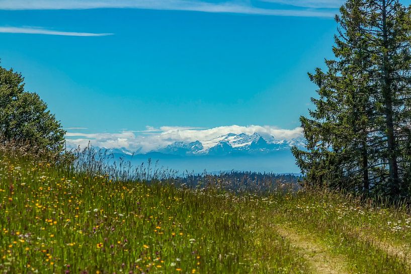 Mountain Meadow van Thomas Heitz