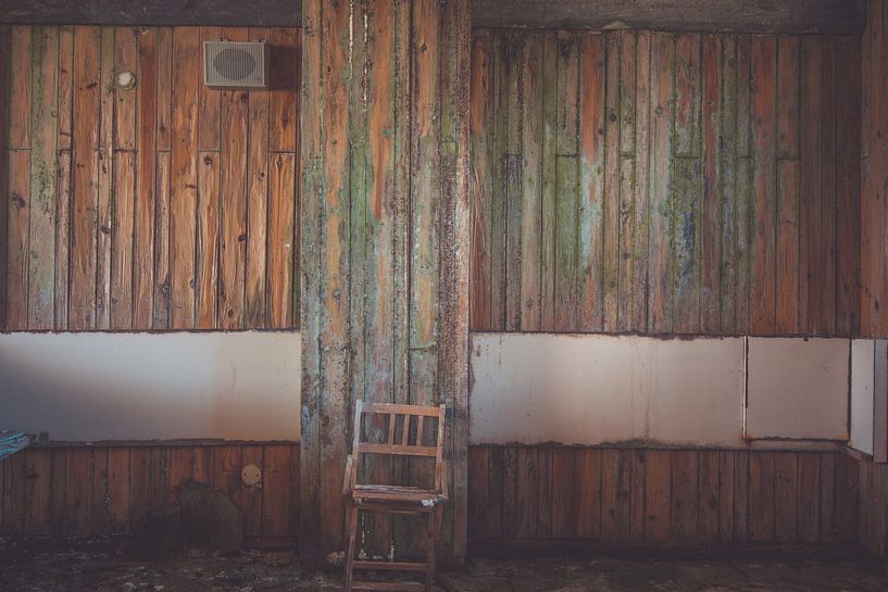 The Camelion by On Your Wall