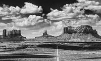 Monument Valley vom Highway 163 aus gesehen von Henk Meijer Photography Miniaturansicht