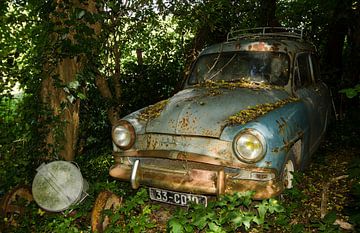 Simca Aronde verscholen in de bosjes