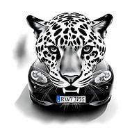 Die Berge von Jaguar