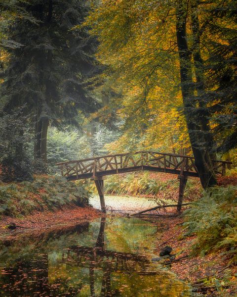 Die Märchenbrücke. von Ton Drijfhamer