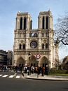Notre Dame '1of4' van Niels van Houten thumbnail
