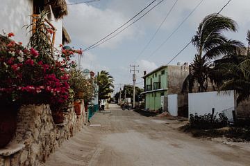 Isla Holbox