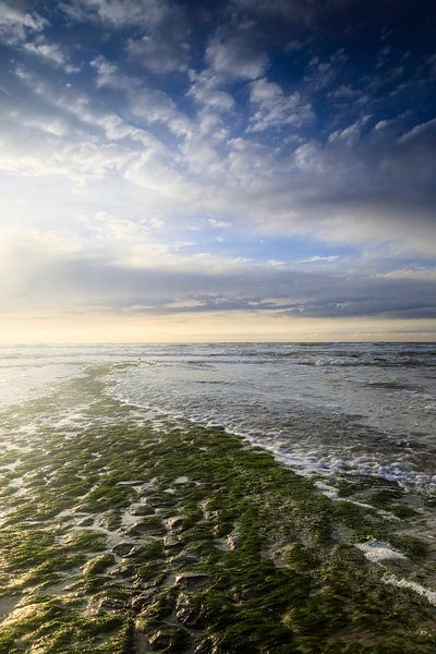 schöner Sonnenuntergang an der niederländischen Küste von gaps photography