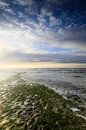 schöner Sonnenuntergang an der niederländischen Küste von gaps photography Miniaturansicht
