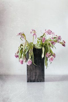 Tulpen vergaan.... (I)