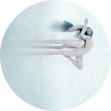 *** van Yaroslav Vasiliev-Apostol